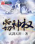 都市言情作品窃神权