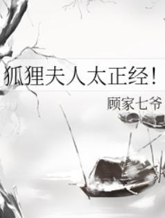 长剑小说狐狸夫人太正经!