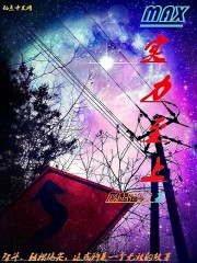 风起苍黄作品MAX实力至上